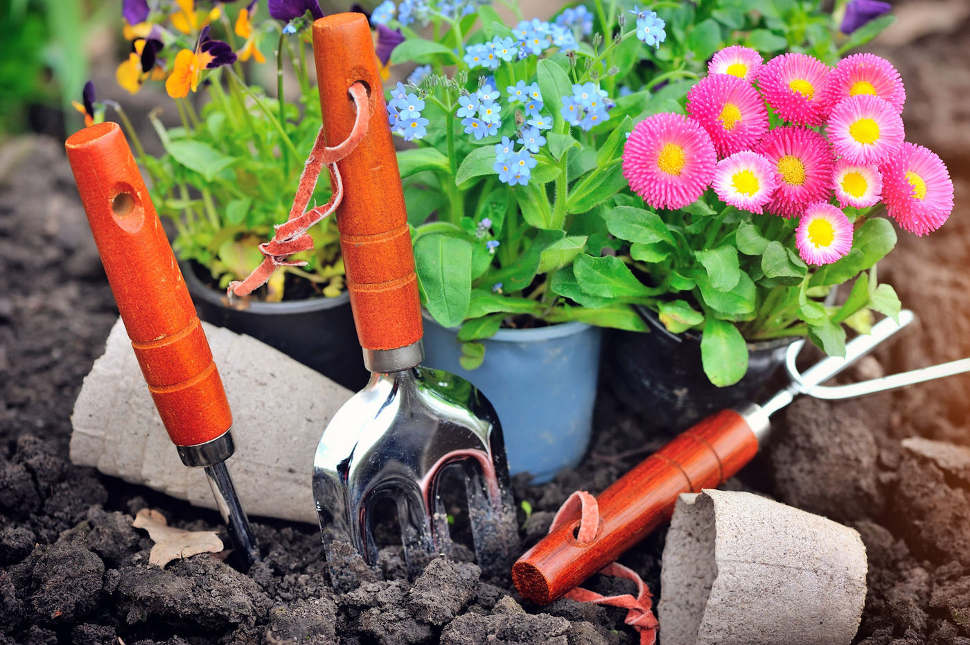 8 easy things to do now to prepare your garden for spring image 1