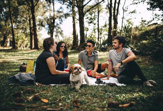 Should You Take Dogs on a Camping Holiday? image 1